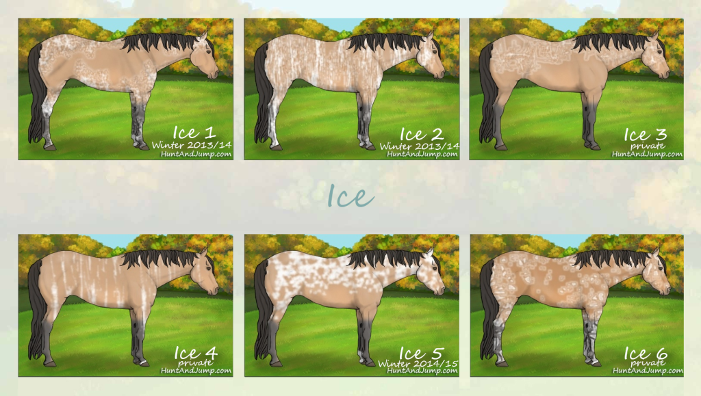 Ice1-6